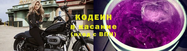 индика Баксан