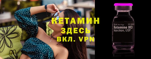 сатива Балахна