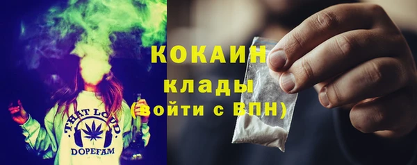 индика Баксан