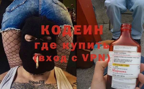 сатива Балахна