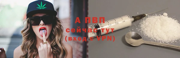 сатива Балахна