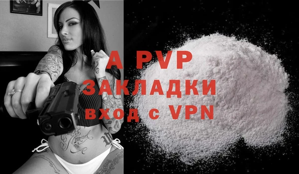 сатива Балахна
