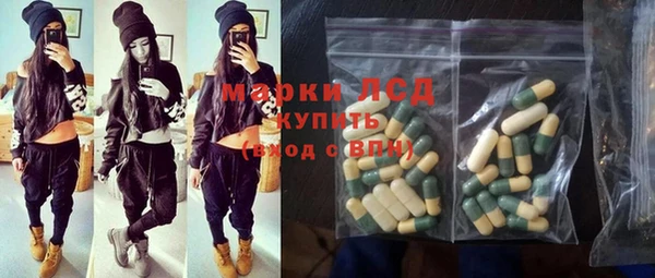 индика Баксан