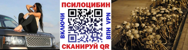 Псилоцибиновые грибы Psilocybine cubensis  гидра ТОР  Шуя  купить закладку 